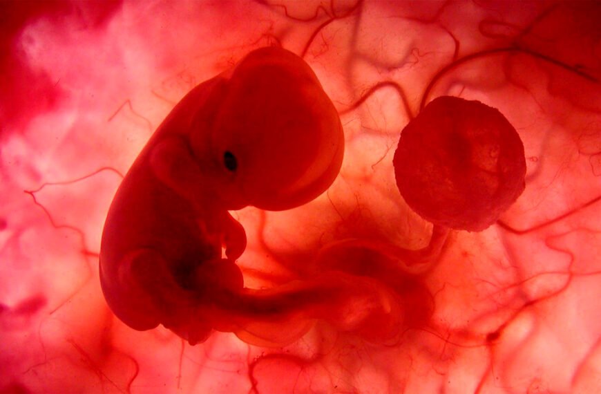 Parto Humanizado primeiro mes